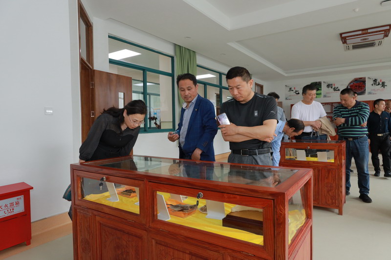 我市召開(kāi)2021年徐州市社會(huì)教育干部培訓(xùn)會(huì)